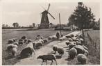 lochem- molen zwiep, 1940 tot 1960, Gelderland, Ophalen of Verzenden