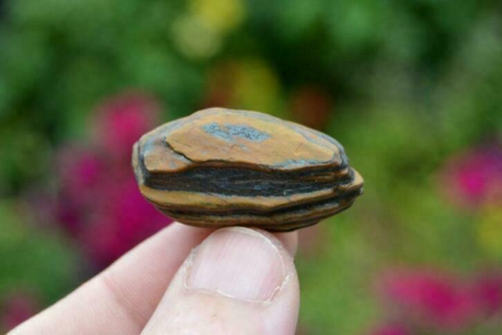 3. Banded Iron Stone, Verzamelen, Mineralen en Fossielen, Ophalen of Verzenden