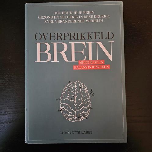 Charlotte Labee - Overprikkeld brein, Boeken, Psychologie, Zo goed als nieuw, Ophalen of Verzenden