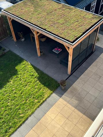 Sedum cassettes voor mooi groen dak te maken va 1 cassete  beschikbaar voor biedingen
