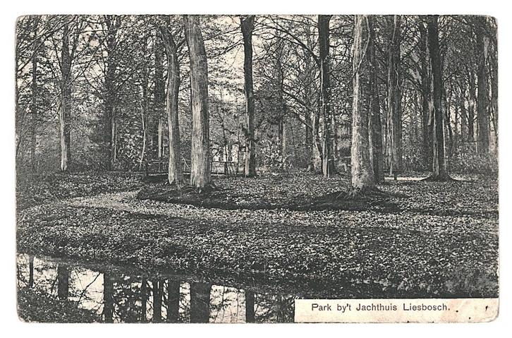 975802 Ginneken Park bij t Jachthuis Liesbosch N Br 1906 Gel, Verzamelen, Ansichtkaarten | Nederland, Gelopen, Noord-Brabant, Voor 1920