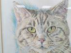Prent /tekening van een kat 39911, Ophalen of Verzenden, Ongelopen, Hond of Kat