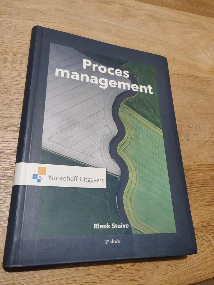 Rienk Stuive - Procesmanagement, Boeken, Wetenschap, Zo goed als nieuw, Sociale wetenschap, Ophalen of Verzenden