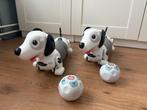 Robo Dackel - Robot Hond 2x, Kinderen en Baby's, Speelgoed | Overig, Ophalen, Gebruikt, Jongen of Meisje