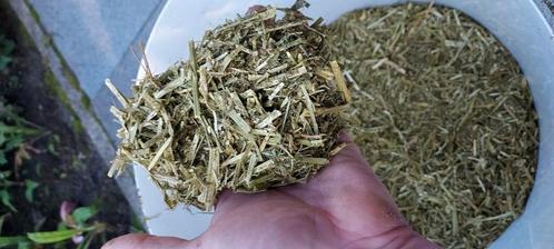 Luzerne plus balen 20kg, Dieren en Toebehoren, Paarden en Pony's | Overige Paardenspullen, Nieuw, Overige soorten, Ophalen of Verzenden