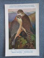 Smellekenvalk, kunst. Hub. Dupont, Verzenden, 1940 tot 1960, Ongelopen, Natuur