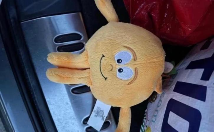 Knuffel Lidl mandarijn, Verzamelen, Supermarktacties, Lidl, Ophalen