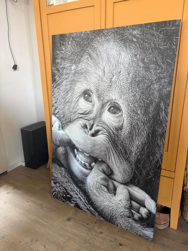 Dibond Plaat - Lachende Aap - Zwart Wit, Huis en Inrichting, Woonaccessoires | Schilderijen, Tekeningen en Foto's, Zo goed als nieuw