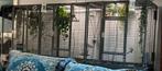 Grote mooie sterke volière merk Montana Madera triple antiek, Dieren en Toebehoren, Ophalen, Zo goed als nieuw, Metaal, Volière