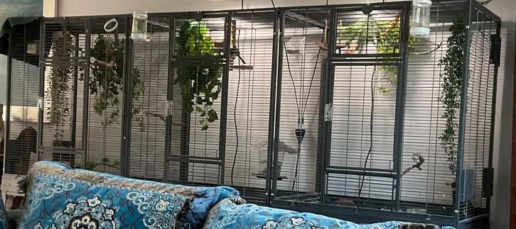 Grote mooie sterke volière merk Montana Madera triple antiek, Dieren en Toebehoren, Vogels | Hokken en Kooien, Zo goed als nieuw