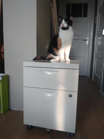 Archiefkast op wieltjes 