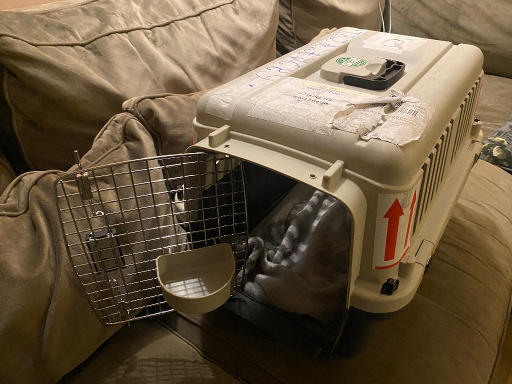 Dierenreismand, geschikt voor vliegtuig, Ophalen of Verzenden, Gebruikt