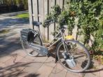 Rivolt elektrisch fiets, Fietsen en Brommers, Ophalen of Verzenden, Gebruikt, Overige merken