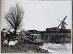 Koog aan de Zaan Molen de Munnik, Verzamelen, Ophalen of Verzenden, Voor 1940, Zo goed als nieuw