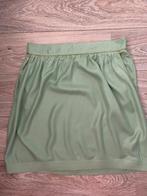 Le pep rok xl nieuw 1 x gedragen mint groen goudenband, Kleding | Dames, Ophalen of Verzenden, Zo goed als nieuw, Maat 46/48 (XL) of groter