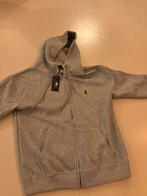 Ralph lauren vest grijs heren, Kleding | Heren, Ralph Lauren Polo, Maat 48/50 (M), Nieuw, Ophalen of Verzenden