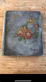Album voor ansichtkaarten, Antiek en Kunst, Ophalen of Verzenden