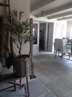 Raw Stones Vloeren - Dealer Noord Holland, Doe-het-zelf en Verbouw, 50 tot 150 cm, Nieuw, Ophalen of Verzenden, 10 m² of meer