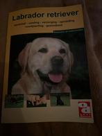 Labrador Retriever Boek - Over Dieren, Ophalen of Verzenden, Gelezen