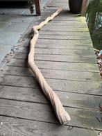 Liaan hout 3 meter ‘decoratie, Ophalen, Zo goed als nieuw, 50 mm of meer, Balk