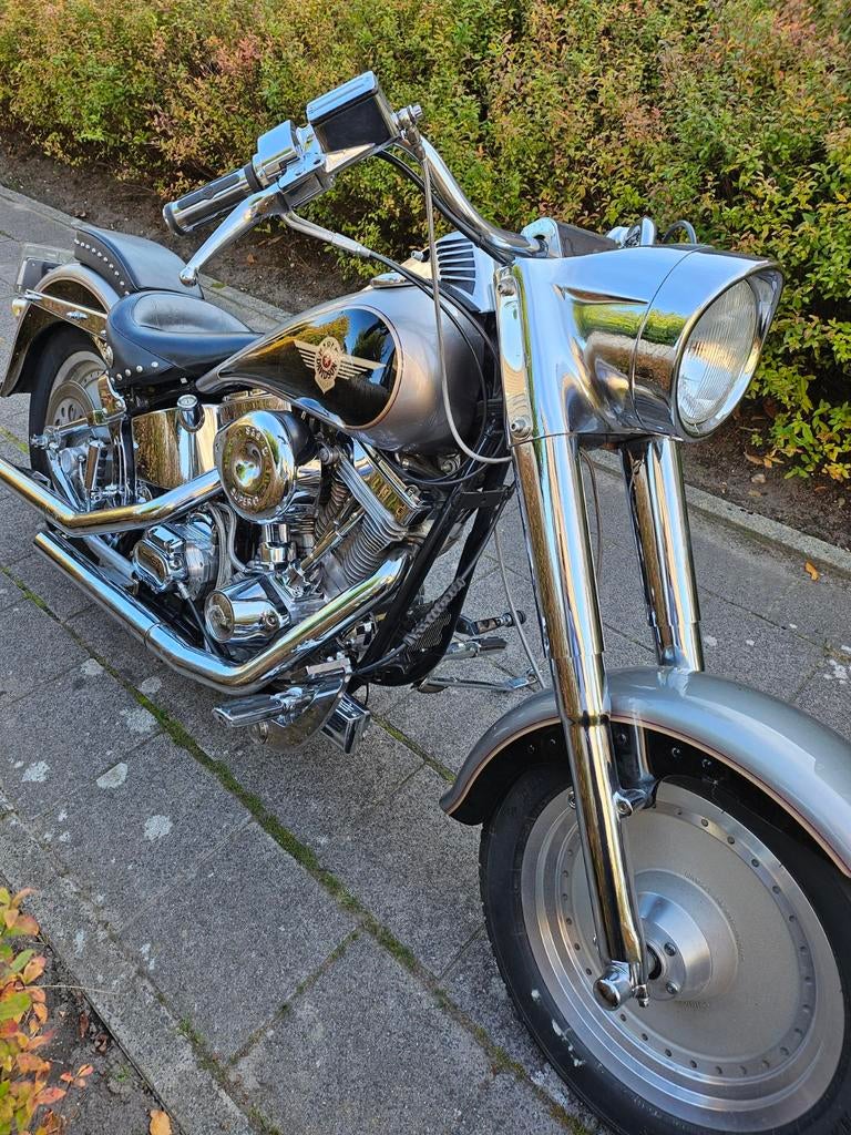 Hele mooie harley, Motoren, Motoren | Harley-Davidson, Particulier, Chopper, Ophalen