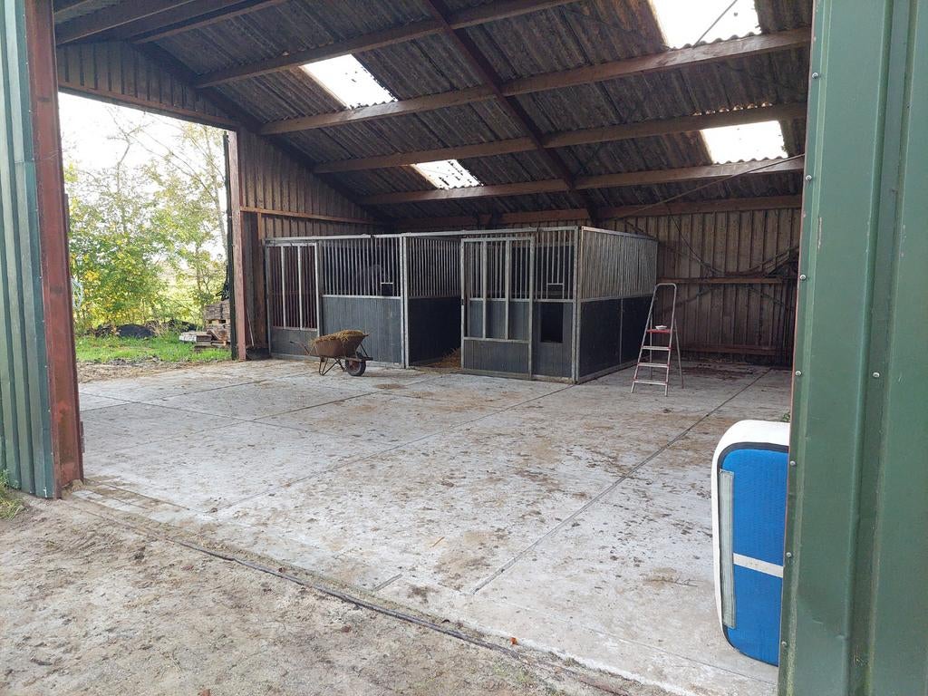 Paardenboxen