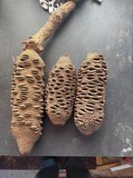 Houtdraaiatributen, Ophalen of Verzenden, Nieuw, Materiaal