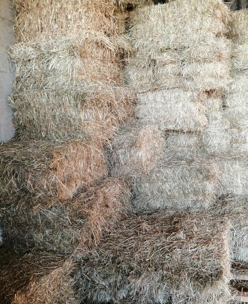 Hooi, Dieren en Toebehoren, Ophalen, Overige soorten