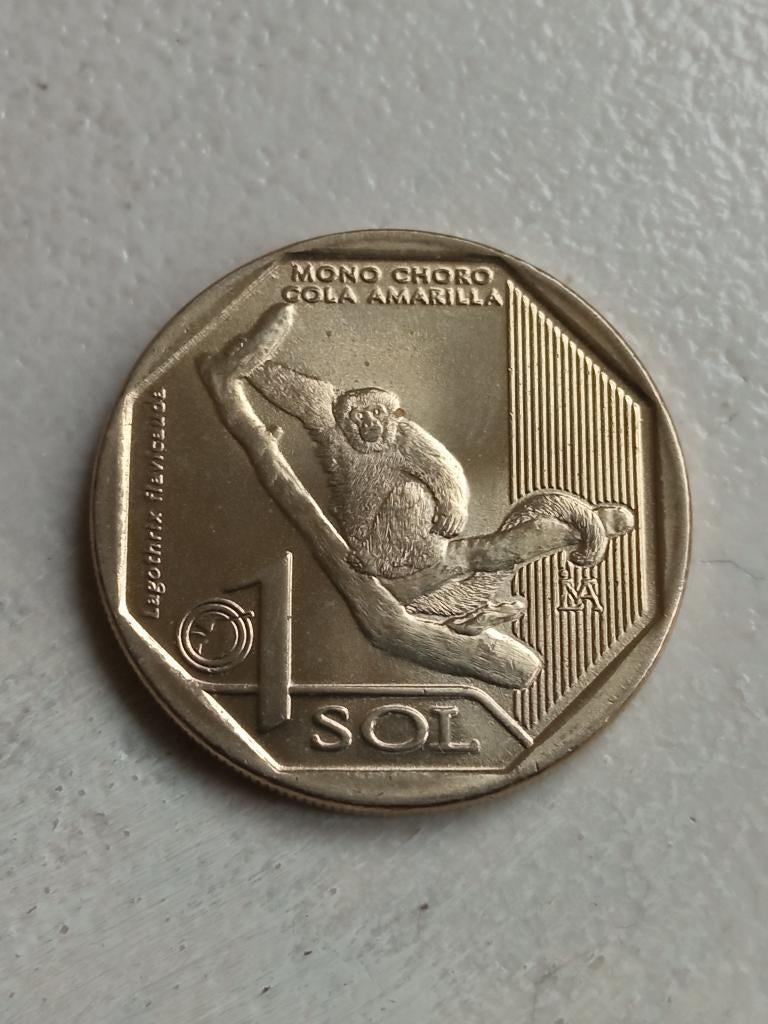 Peru 1 sol 2019., Postzegels en Munten, Munten | Amerika, Ophalen of Verzenden, Zuid-Amerika, Losse munt