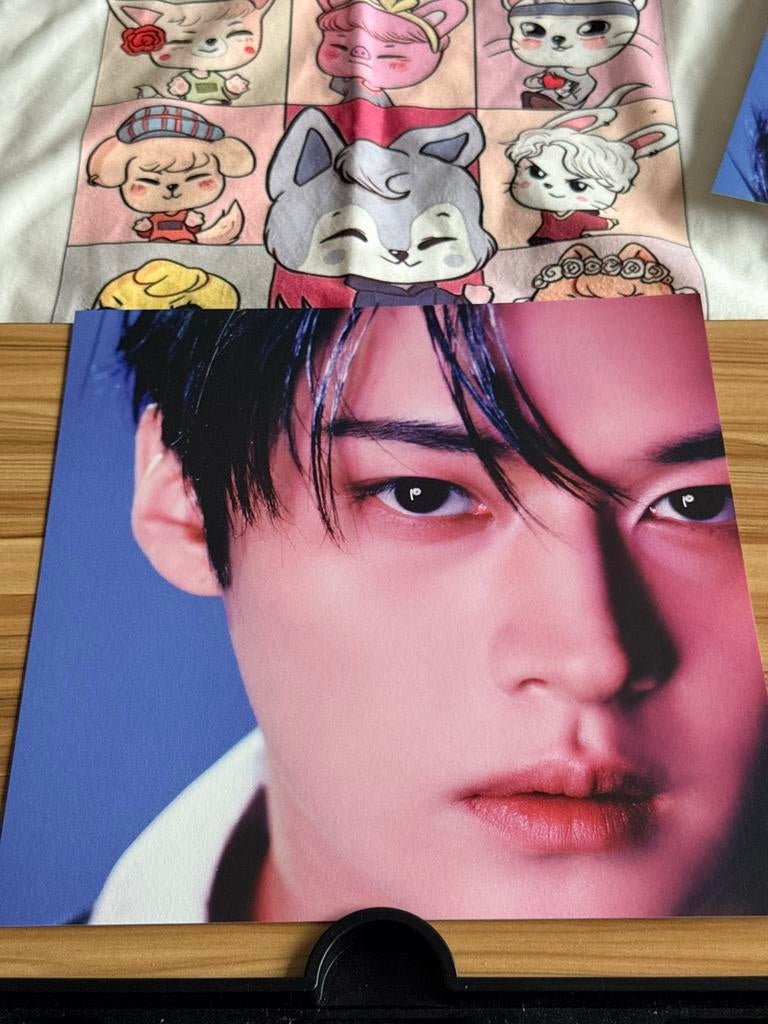 Stray Kid Lee Know poster karma, Ophalen of Verzenden, Zo goed als nieuw, Foto of Kaart