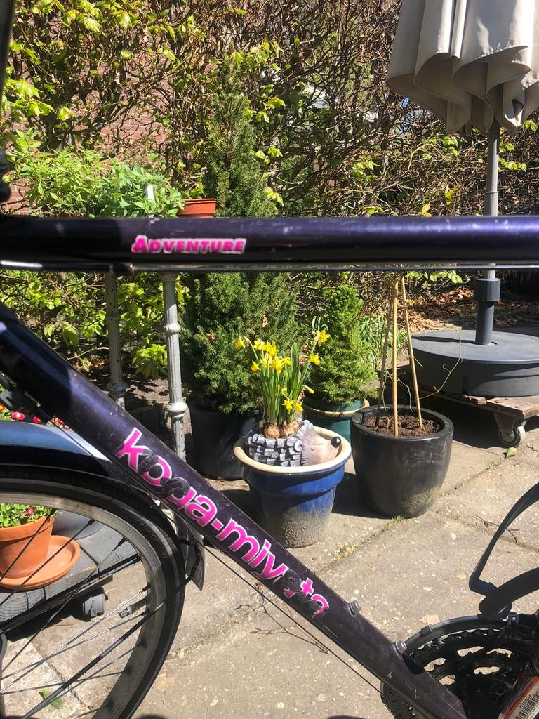 Koga miyata, Velgrem, Ophalen of Verzenden, 47 tot 51 cm, Koga