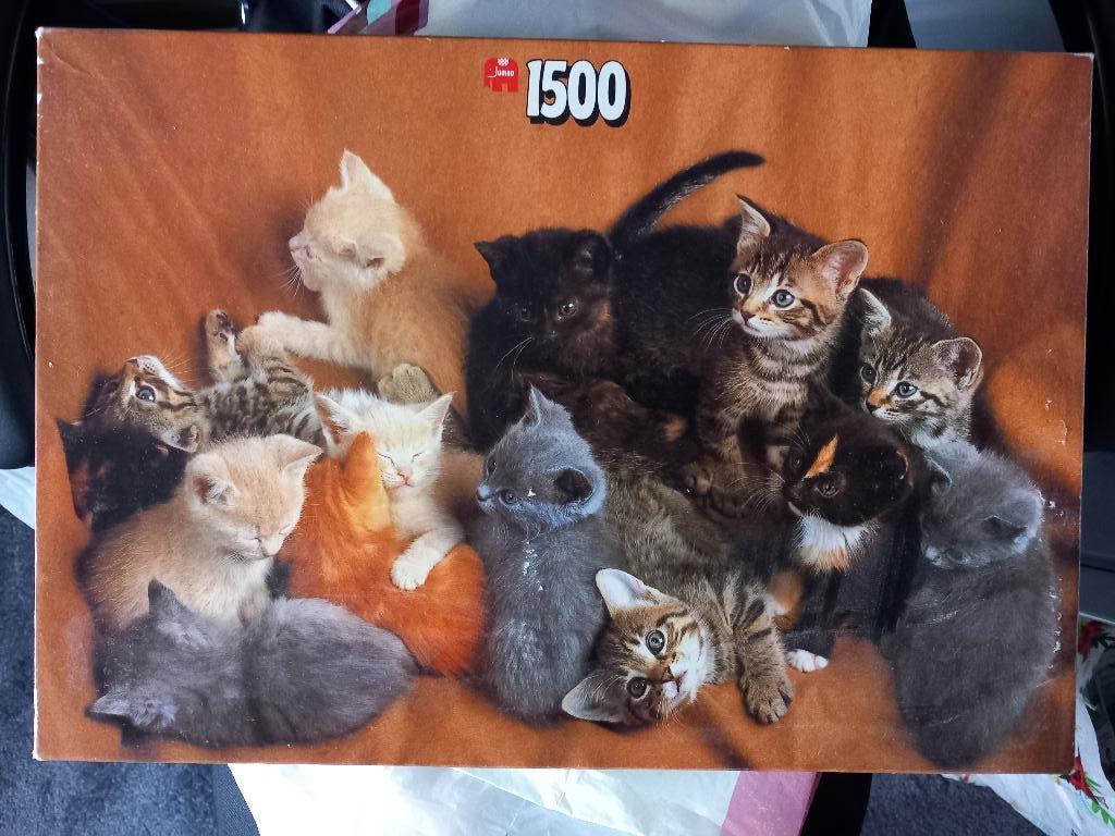 Legpuzzel kittens 1500 stukjes, Ophalen of Verzenden, 500 t/m 1500 stukjes, Gebruikt