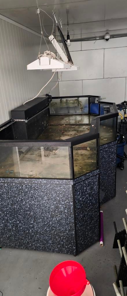 Grote shallow aquaria, Dieren en Toebehoren, Vissen | Aquaria en Toebehoren, Ophalen, Leeg aquarium