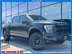 Ford USA F-150 3.5 V6 Ecoboost SuperCrew Raptor | Matzwarte, Automaat, F-150, Zwart, Bedrijf