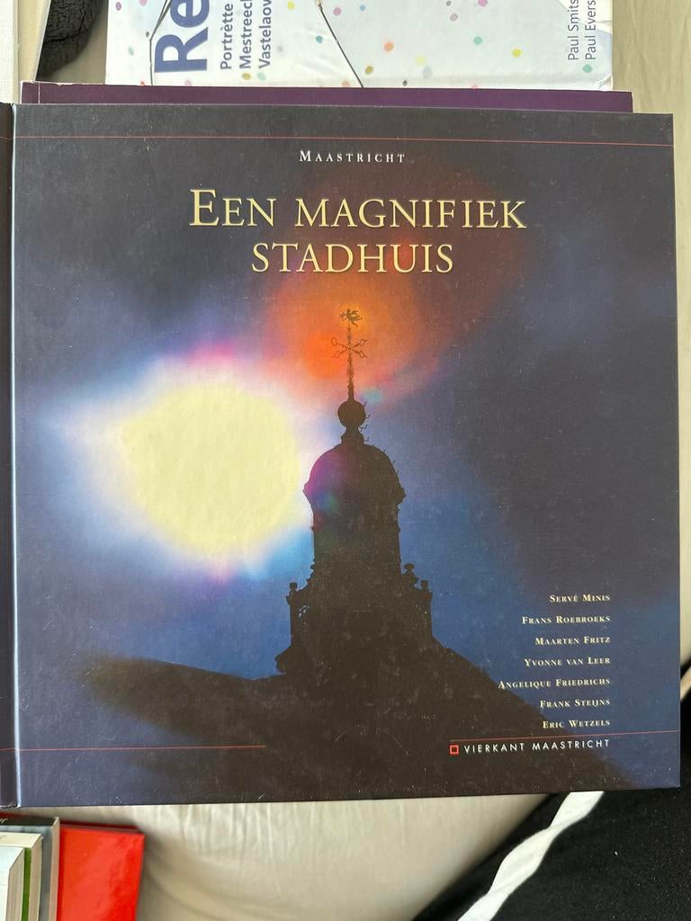 Maastricht: Een Magnifiek Stadhuis - Geschiedenisboek, Ophalen of Verzenden, 20e eeuw of later, Gelezen
