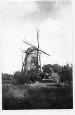 Woudenberg  Molen, Ophalen of Verzenden, 1940 tot 1960, Ongelopen, Utrecht