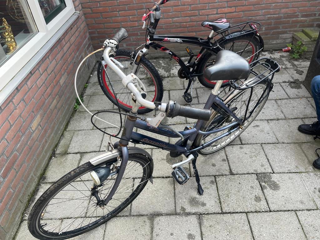 Gazelle en Batavus fietsen, Ophalen of Verzenden, Gebruikt, Gazelle, Versnellingen