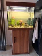 Juwel Lido 120 aquarium, Ophalen, Zo goed als nieuw, Leeg aquarium