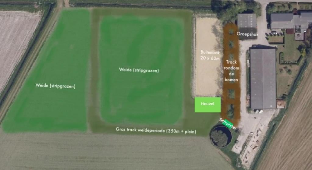 Paddock paradise iets ten noorden van Leeuwarden, Dieren en Toebehoren, Weidegang, 4 paarden of pony's of meer