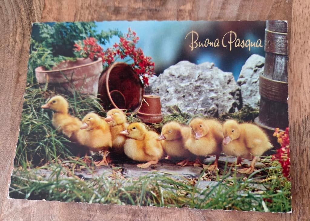 Groep kleine gele eendjes - Vrolijk Pasen, Verzenden, Gelopen, Overige thema's