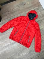 Stijlvolle Oranje Gewatteerde Jas  maat 54 van Tailor & Son, Ophalen of Verzenden, Zo goed als nieuw, Maat 52/54 (L), Oranje