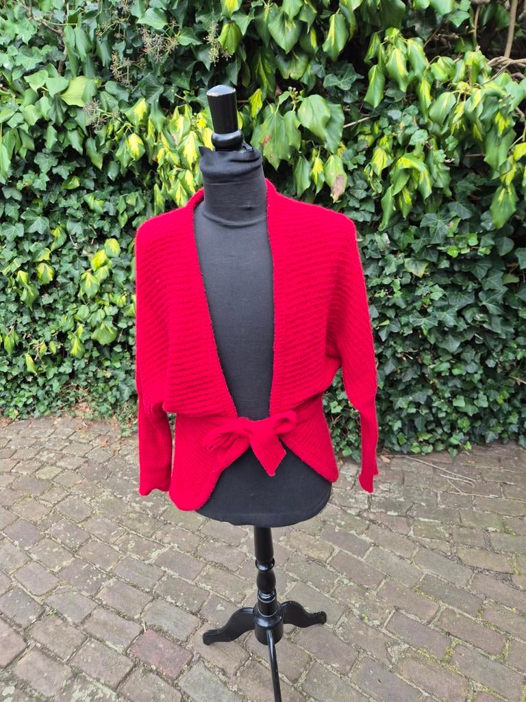 Mooi warm rood vest van Cora Kemperman, Ophalen of Verzenden, Maat 36 (S), Rood, Cora Kemperman