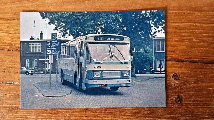 Foto BUS VAD Apeldoorn 5593, Verzamelen, Spoorwegen en Tramwegen, Gebruikt, Bus of Metro, Overige typen, Verzenden