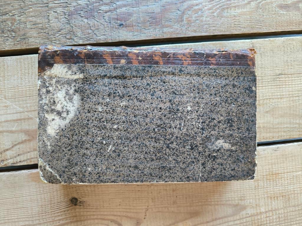 Het Egt en Waar Karakter van Johan de Witt (1707), Antiek en Kunst, Ophalen of Verzenden, Onbekend (over Johan de Witt)