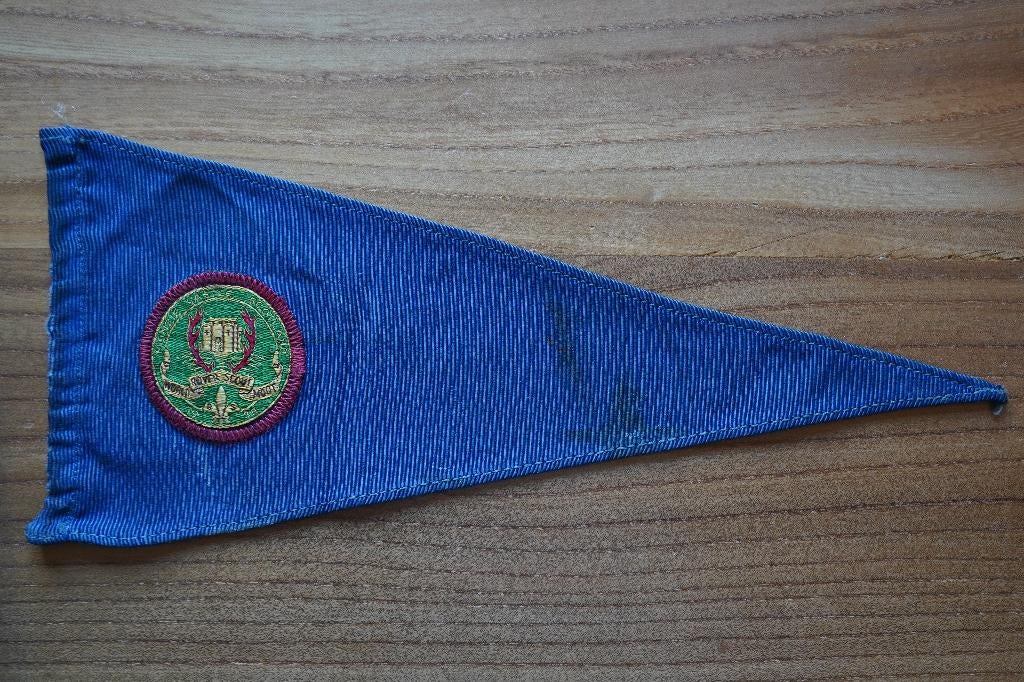 jamboree 1939 world rover moot Schotland 2 insignes erop, Verzenden, Zo goed als nieuw, Boek of Tijdschrift