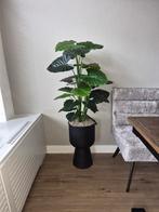 Grote kunstplant in nieuwe pot, zgan, Ophalen of Verzenden, Zo goed als nieuw