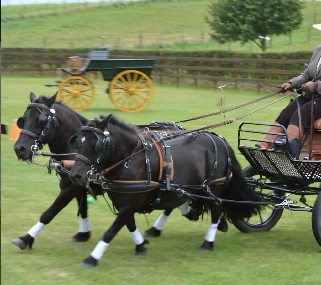 Nieuw ideal combitech tuig tweespan minishet, Dieren en Toebehoren, Ophalen of Verzenden, Gebruikt, Overige soorten