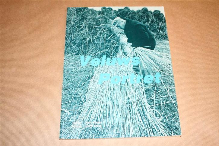 Veluws portret. Aart Visser & Chris Stein., Boeken, Geschiedenis | Stad en Regio, Gelezen, Ophalen of Verzenden