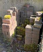 Gratis Partij terrastegels 15x15 en 10x10, Ophalen, Zo goed als nieuw, Beton, Terrastegels