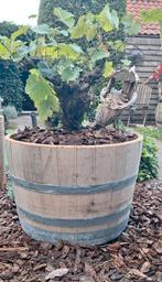 Eikenhouten bloembakken gemaakt van wijnvaten!, Tuin en Terras, Ophalen, Halfschaduw, Lente